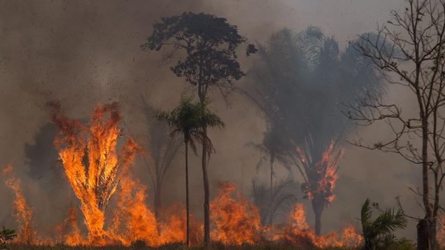 Brasilien: Im Amazonas-Gebiet brennen so viele Wälder wie zuletzt 2004