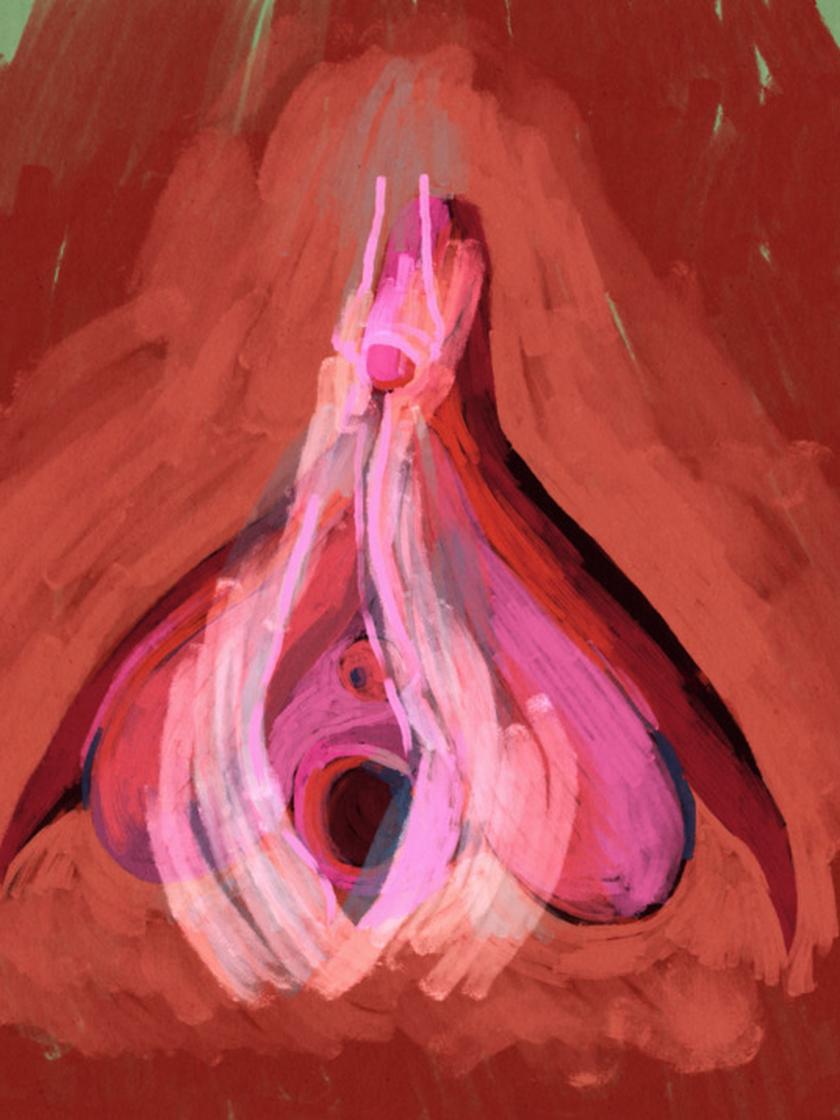 Lioness«-Vibrator: Der vermessene Orgasmus