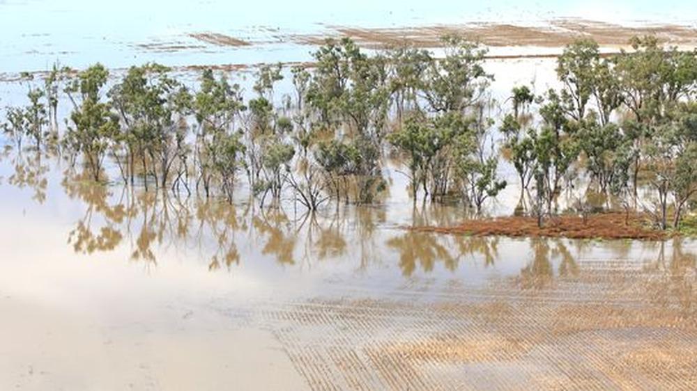 Flut und Dürre in Australien: "Wer Wasser nutzen will, muss es kaufen"