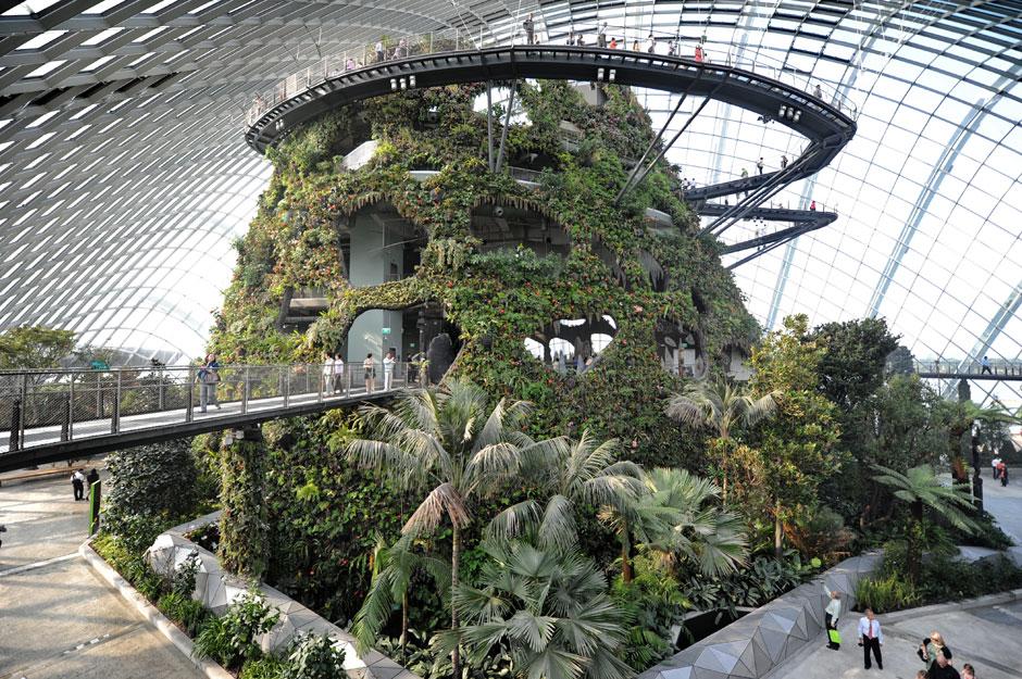 Grüne Stadt: Die Superbäume von Singapur | ZEIT ONLINE