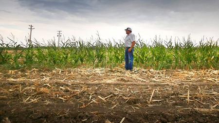 Durre Die Grosse Wut Der Amerikanischen Farmer Zeit Online