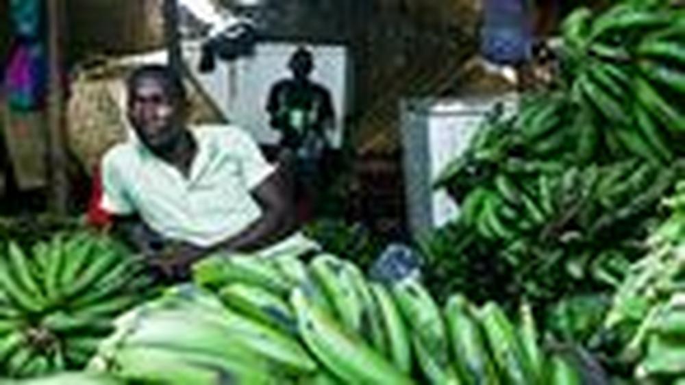 Recht auf Nahrung: "Monsanto hat Afrika im Griff" | DIE ZEIT