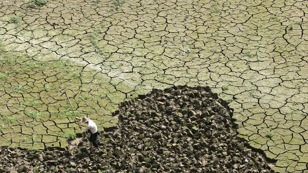 Klima-Risiko-Index 2014: Ein ausgetrocknetes Feld in Chongqing, China
