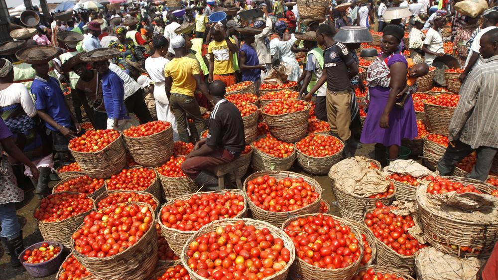 Afrika: Lokale Ware oder Import? Tomatenkörbe auf einem Markt in Lagos (Archivbild)