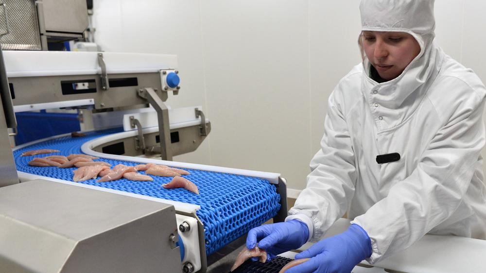 Oxfam: Ein Mitarbeiter in der Geflügelindustrie