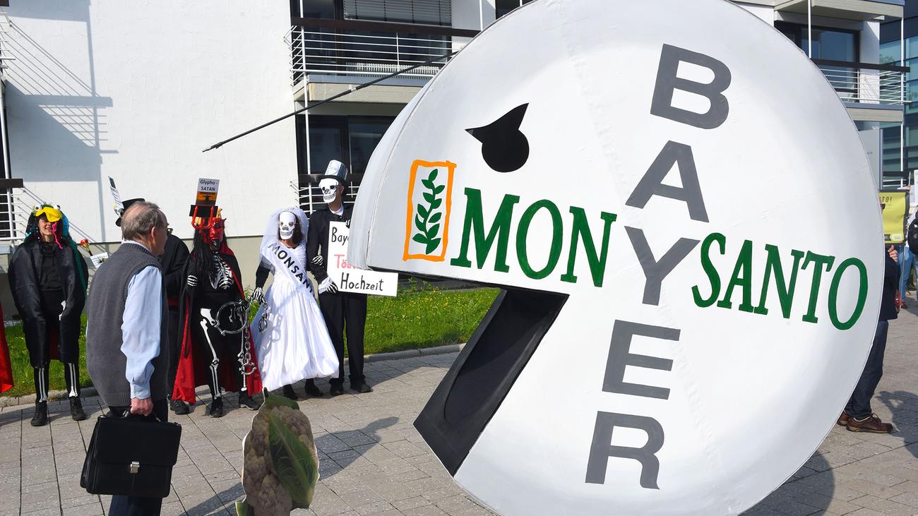 Monsanto Ubernahme Bayer Streicht Den Namen Monsanto Zeit Online