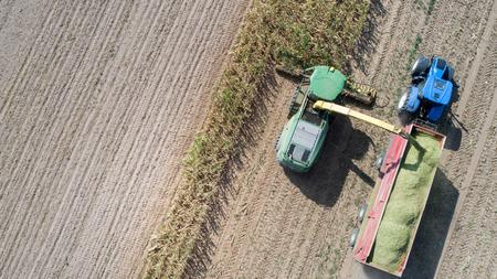 Smart Farming Es Reicht Nicht An Chemie Zu Sparen Zeit Online