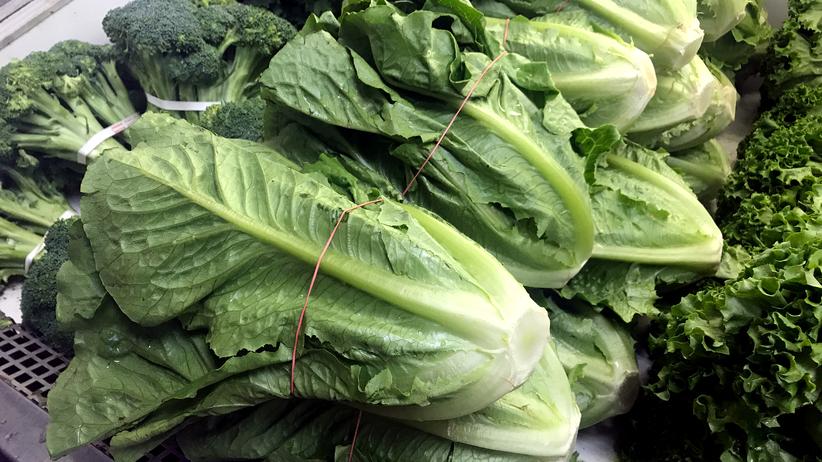 Handelsabkommen mit Kanada: Im Februar 2017 hatte das EU-Parlament für Ceta gestimmt.