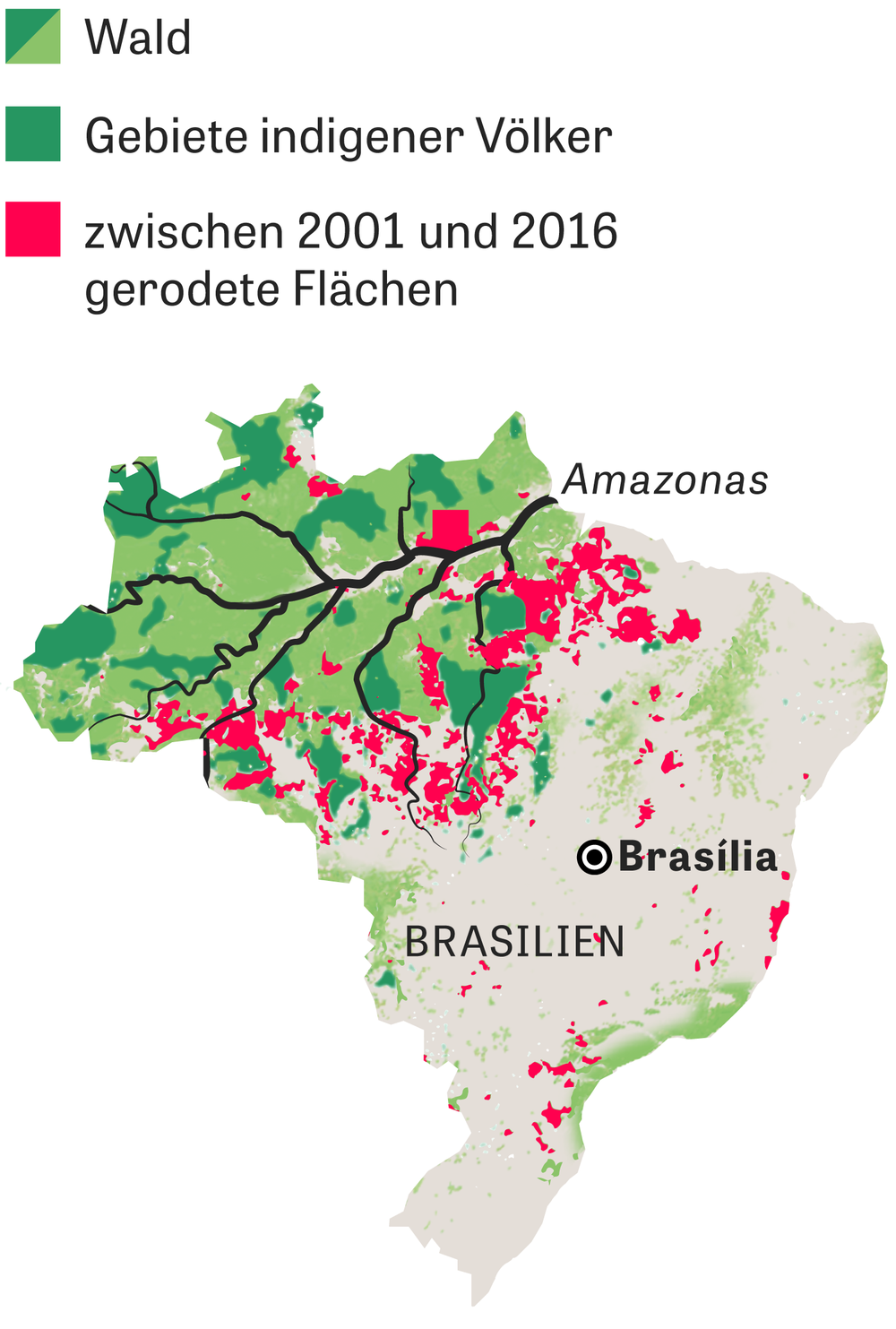 Brasilianische Bundesstaaten wollen den Amazonas-Fonds retten | ZEIT ONLINE