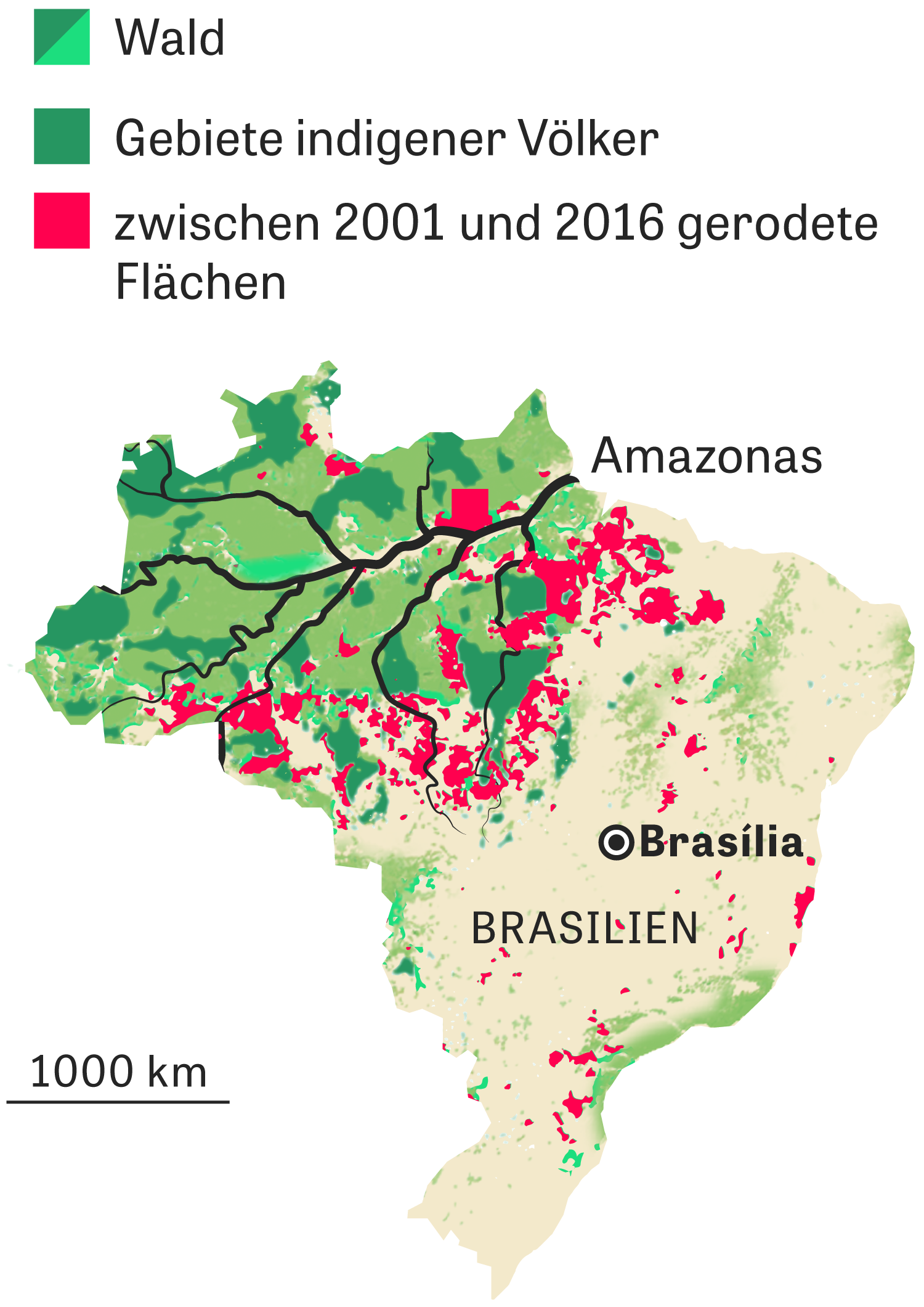 Amazonas Brasilien will Zerstörung des Regenwaldes beschränken ZEIT