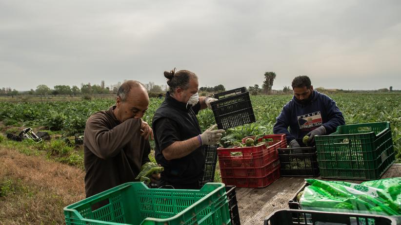 Landwirtschaft In Spanien Alarm In Europas Garten Zeit Online