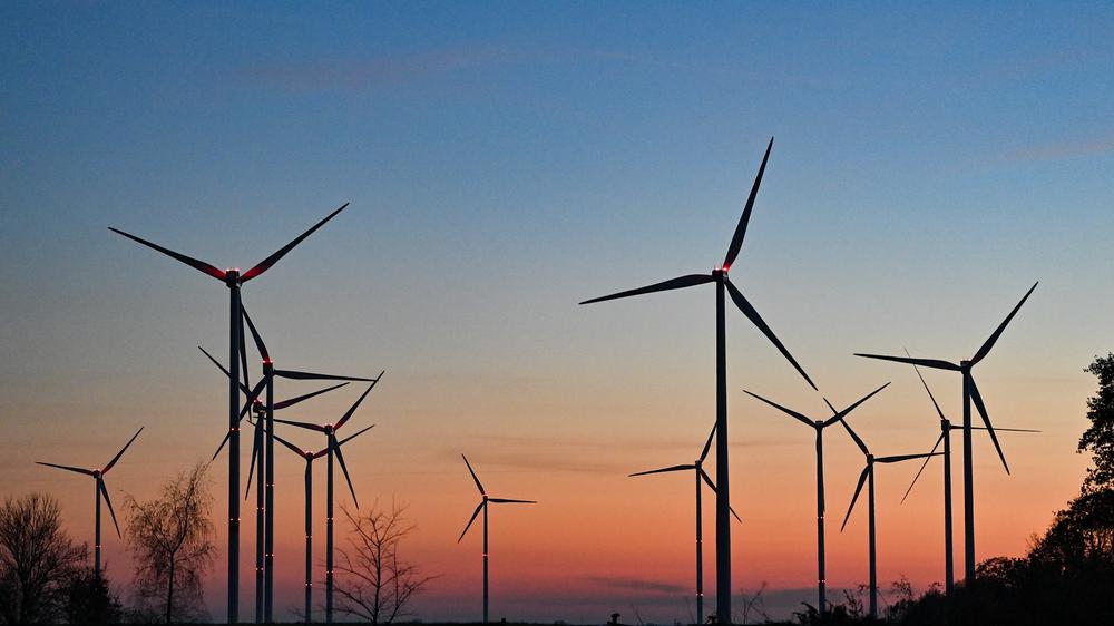 Strompreis: Der Windpark Odervorland im Landkreis Oder-Spree, der 2020 mit 68 Windrädern an den Start ging