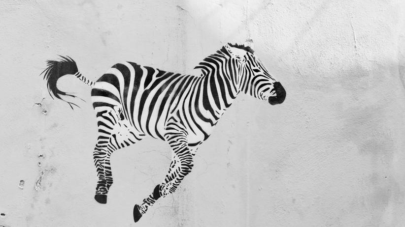Alpenpodcast: Die Zebrastrategie