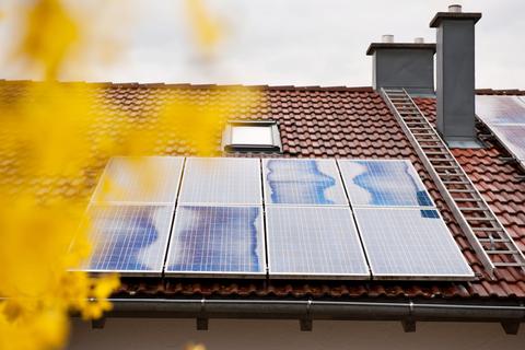 Solar: Wie die Fotovoltaik-Strategie der Ampel Solar-Anbieter