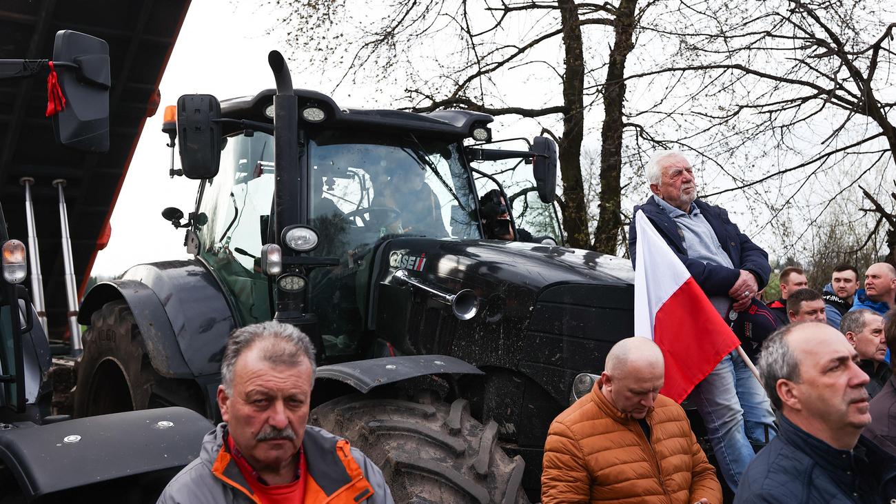 Import zboża z Ukrainy: siła polskich rolników