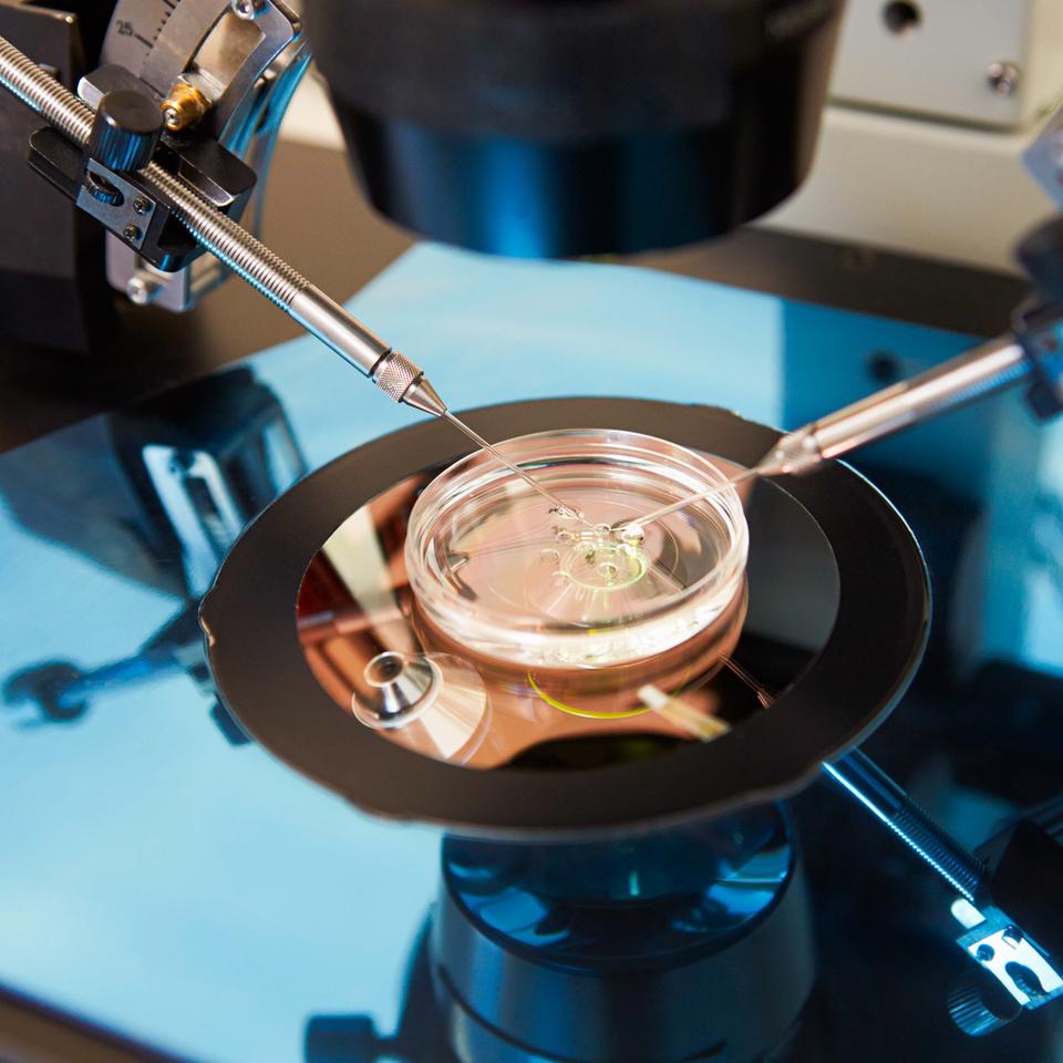 Fertility-Benefits: Baby auf Firmenspesen | DIE ZEIT
