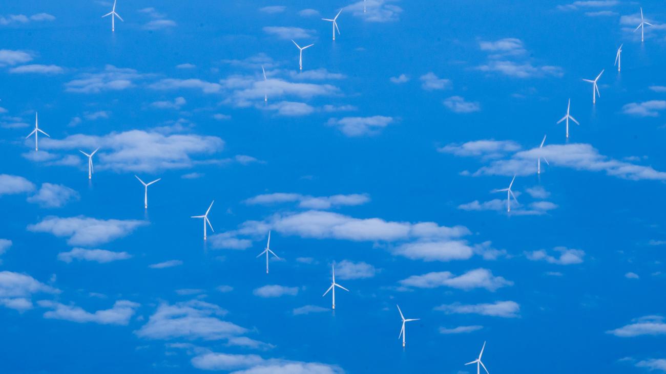 Parc éolien offshore : Les parcs éoliens sont devenus trop chers