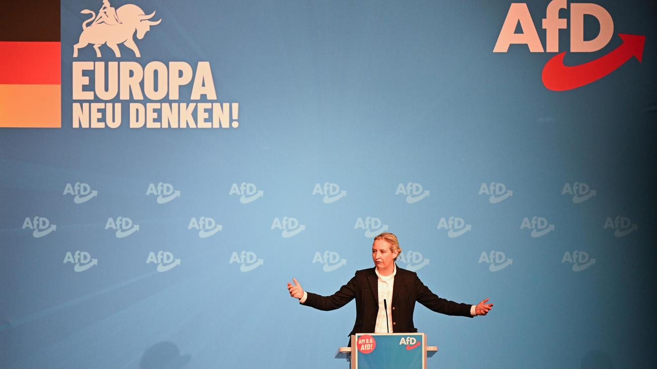 Elections européennes : « L’AfD veut une Europe des marchés et non des salariés »