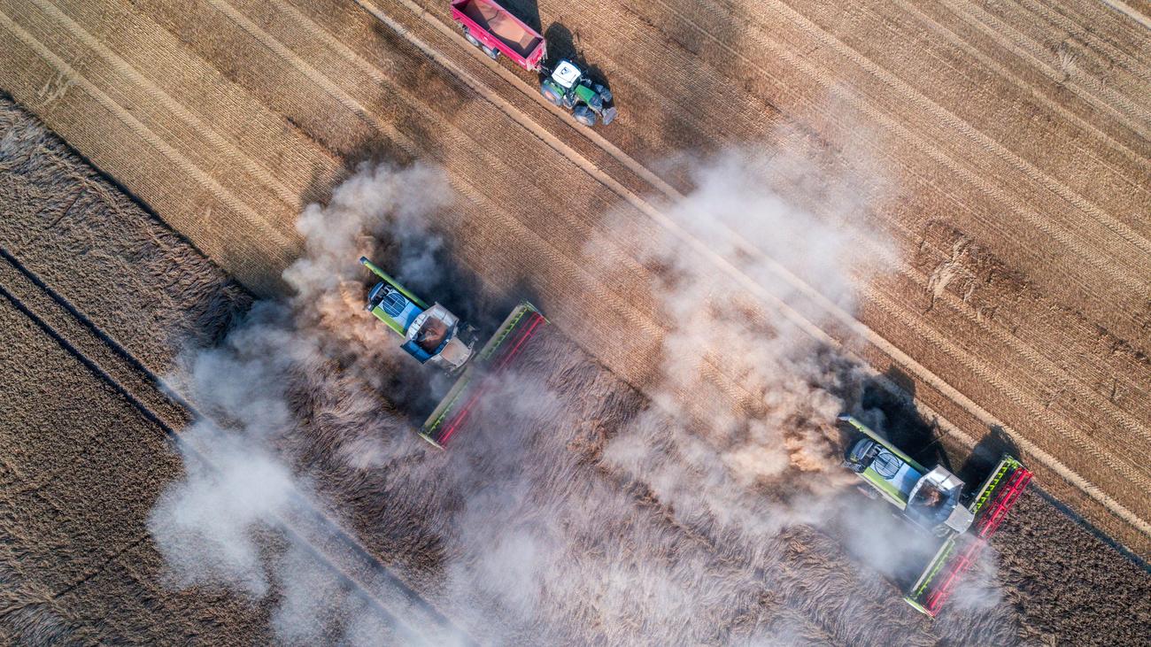 Agriculture : L’association des agriculteurs dresse un bilan de récolte négatif pour 2024