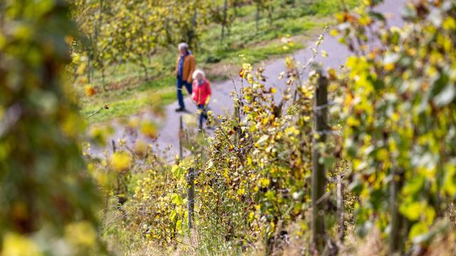 Institut der deutschen Wirtschaft: Ökonomen warnen vor Verteilungskonflikten durch hohe Neurentner-…