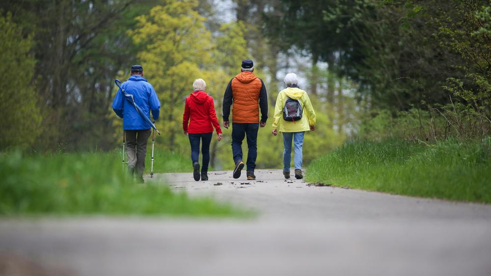 Eine Gruppe Älterer beim Wandern: Die Themen der jungen Generation werden von der Politik derzeit kaum aufgenommen – stattdessen ist wegen der demografischen Alterung eine große Umverteilung Teil von allen Wahlprogrammen.