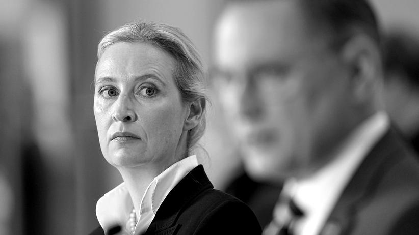 Wirtschaftspodcast "Ist das eine Blase?" "Das AfDWahlprogramm ist von