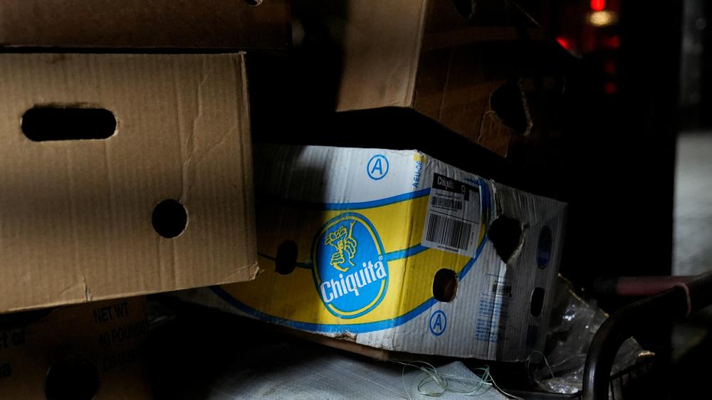Panama: Schon seit dem 28. April beteiligen sich Arbeiter auf den Bananenplantagen von Chiquita an einem Streik.
