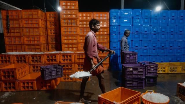 Trumps Zollpolitik: US-Zölle gegen Indien wegen Russlandgeschäften treten in Kraft