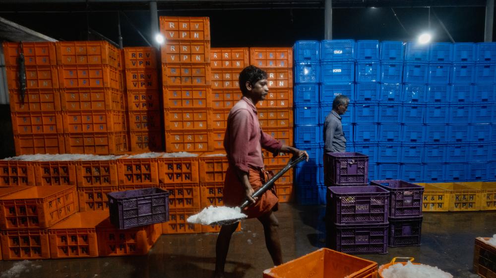  Strafzölle der Vereinigten Staaten gegen Indien sind in Kraft getreten.