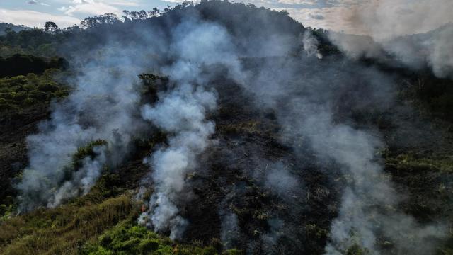 OECD-Klimaschutzbericht: OECD warnt vor wirtschaftlichen Folgen durch mangelnden Klimaschutz