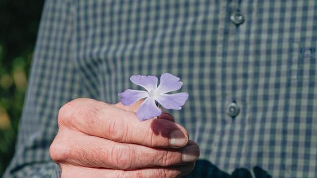 (+) Rentenreform: Dieser Kompromiss ist eine Chance