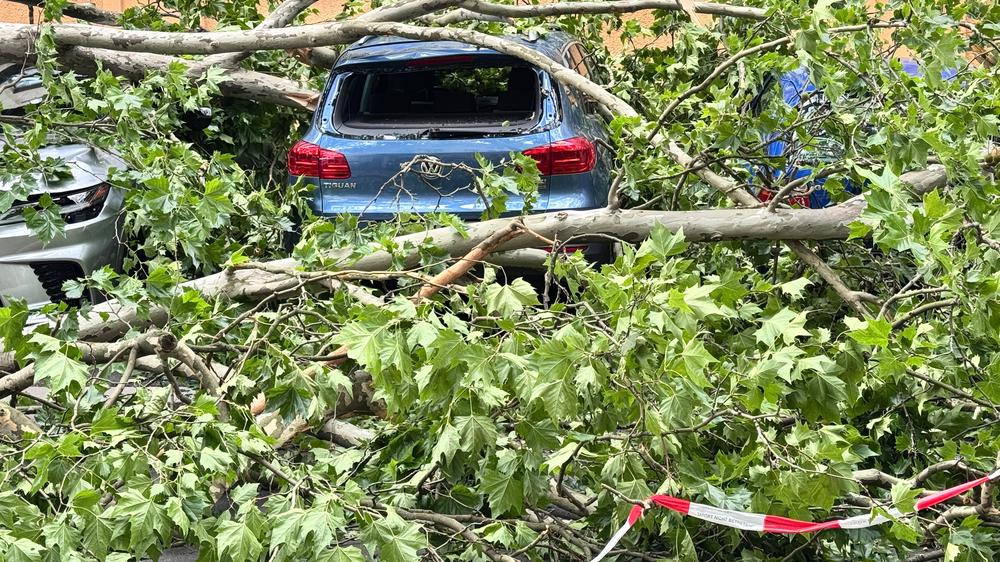 Klimafolgen: Geparkte Autos stehen unter herabgestürzten Ästen eines Baumes.