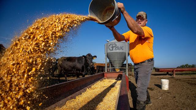 USA: Donald Trump plant Entlastungspaket für US-Landwirte in Milliardenhöhe
