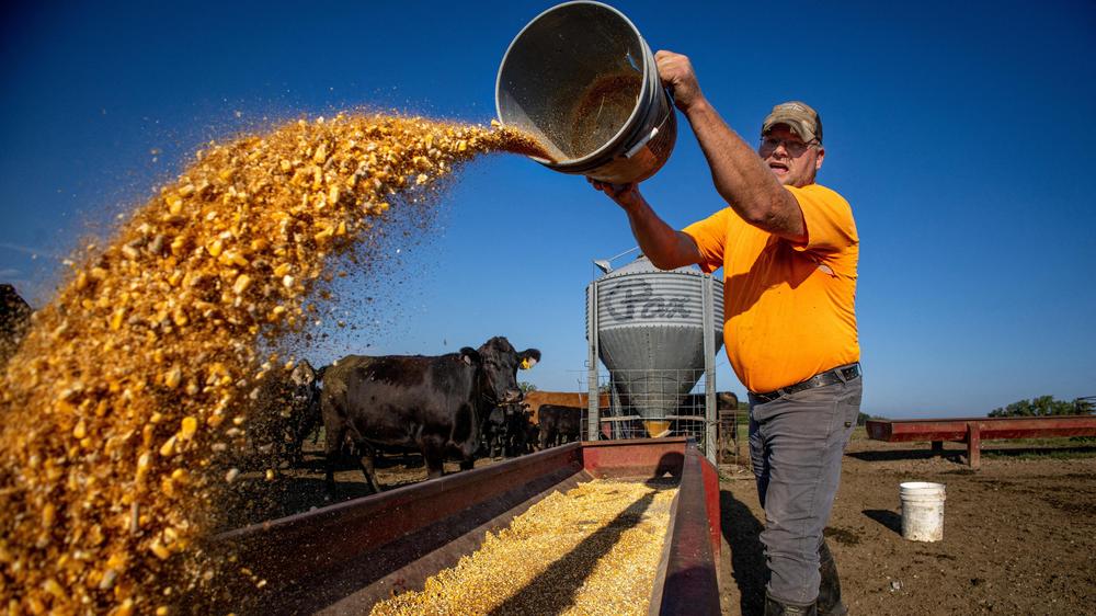  US-Präsident Donald Trump will angeschlagenen US-Landwirten mit Milliardenhilfen beistehen.