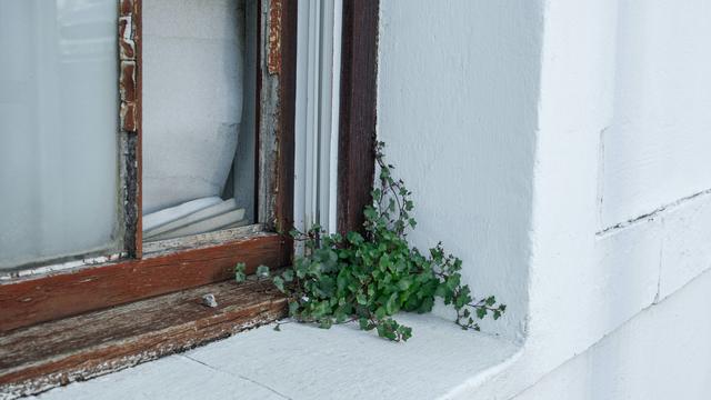 (+) Wohnungsleerstand: 