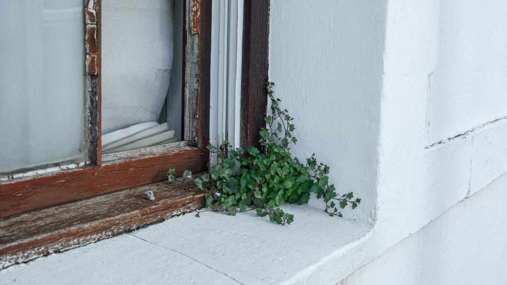Wohnungsleerstand: Je länger eine Wohnung leersteht, desto schlechter häufig ihr Zustand.