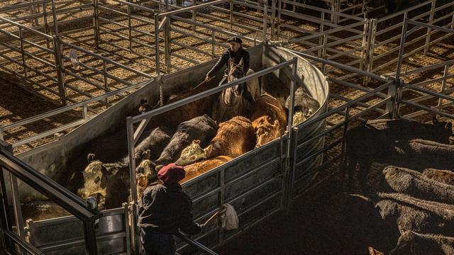 Bauernproteste : Die Angst der Bauern vor Mercosur
