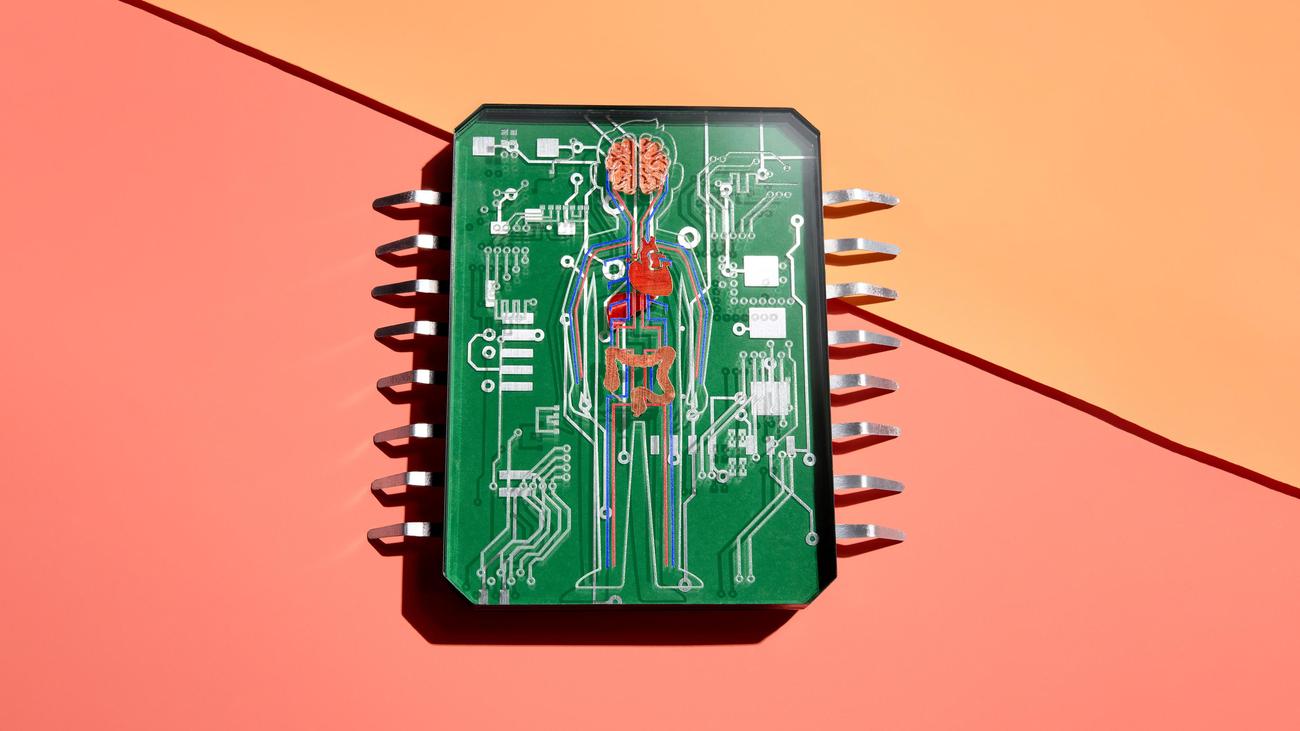Gesundheitsdaten: So nutzen Sie die elektronische Patientenakte richtig