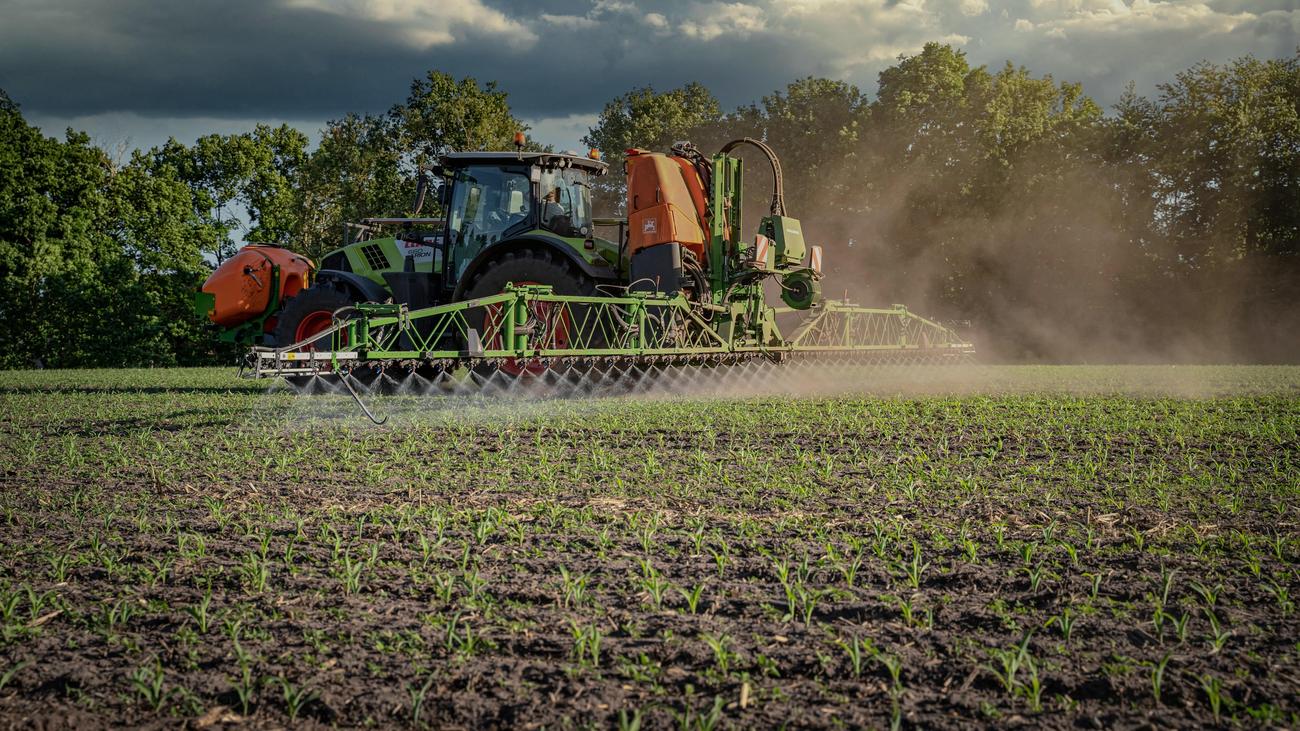 Streit um Pestizid: Bayer-Tochter Monsanto schließt Milliardenvergleich zu Glyphosatklagen