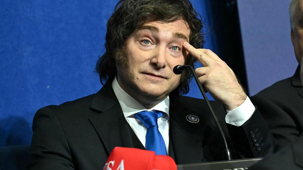 Handelsabkommen: Argentiniens Präsident Javier Milei hat mit US-Präsident Donald Trump ein Handelsabkommen geschlossen, das für Europa ein Affront sein könnte.