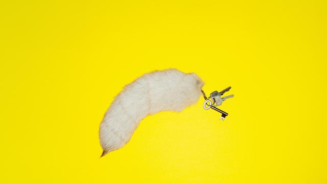 (+) Immobilienwert: Was Ihr Haus wert ist? Eine Anleitung zum Selberrechnen