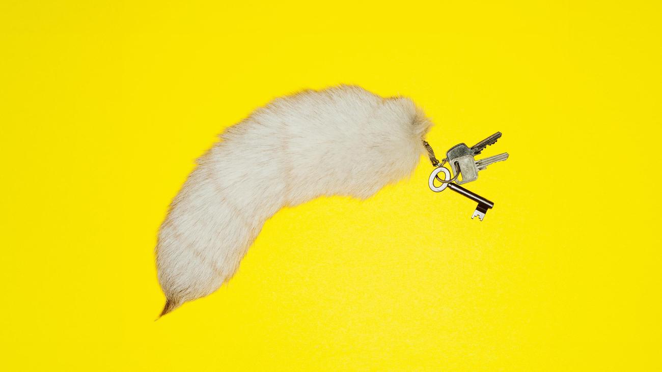 Immobilienwert: Was Ihr Haus wert ist? Eine Anleitung zum Selberrechnen