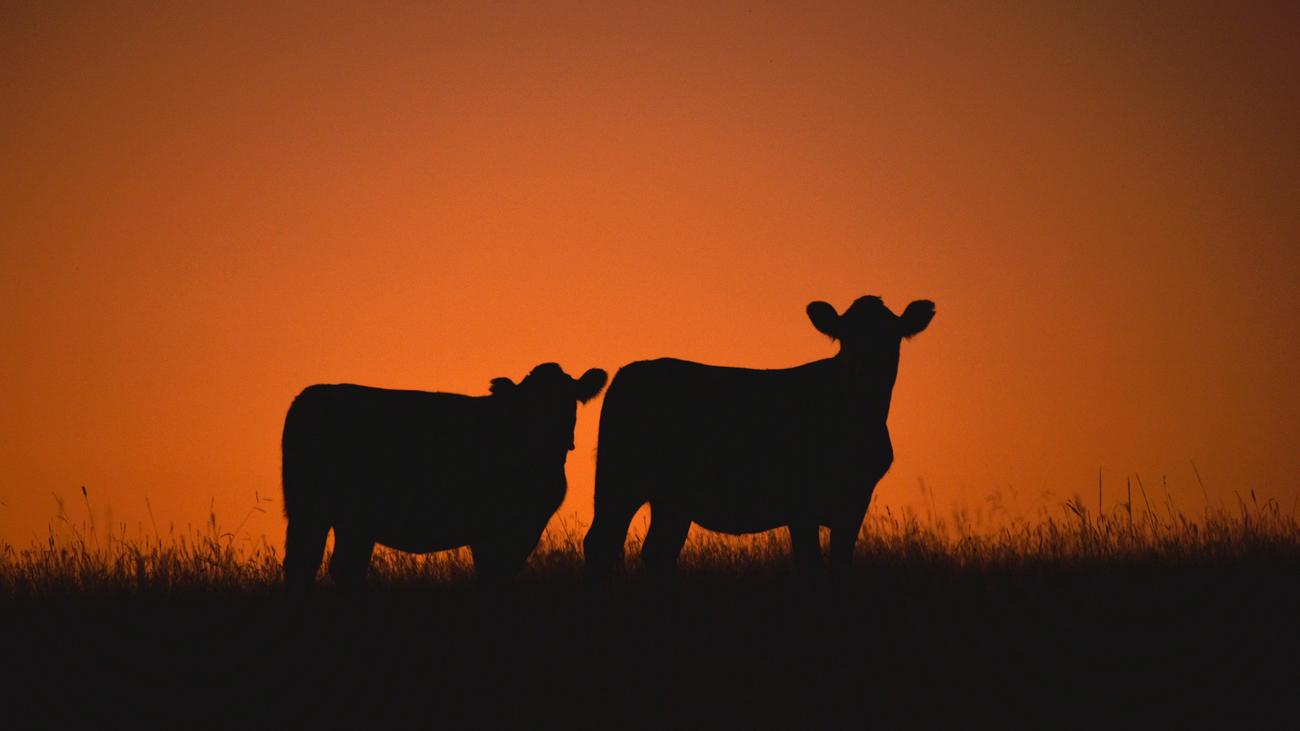 Freihandelsabkommen: Uruguay ratifiziert als erstes Land Mercosur-Abkommen mit der EU