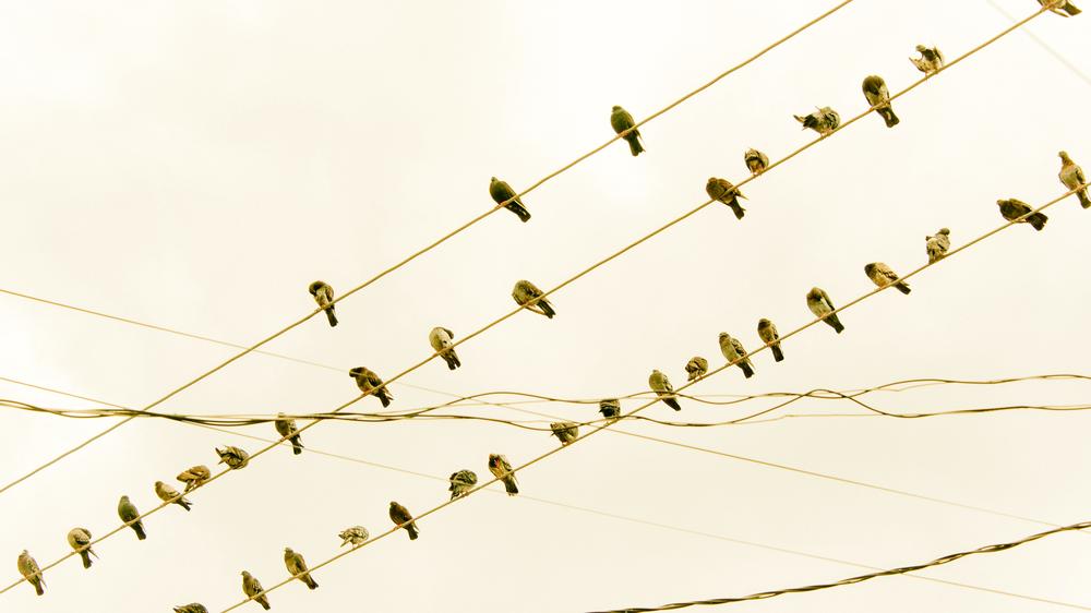 Börse und Irankrieg: Die Aktienmärkte stehen derzeit unter Strom.