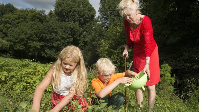 Reform der Riester-Rente: ETF-Depot, jetzt auch staatlich gefördert