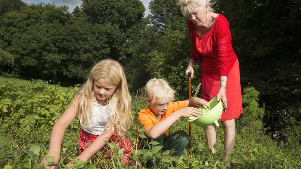 Die Menschen sollen privat fürs Alter vorsorgen, aber die neuen Produkte dürften vor allem für Menschen mit hohen Einkommen attraktiv sein.