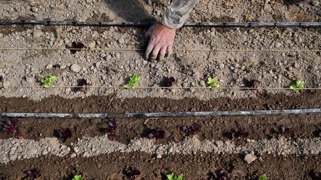 Bild: Düngemittel und Energiepreise: Die Welt steckt in der Düngerfalle