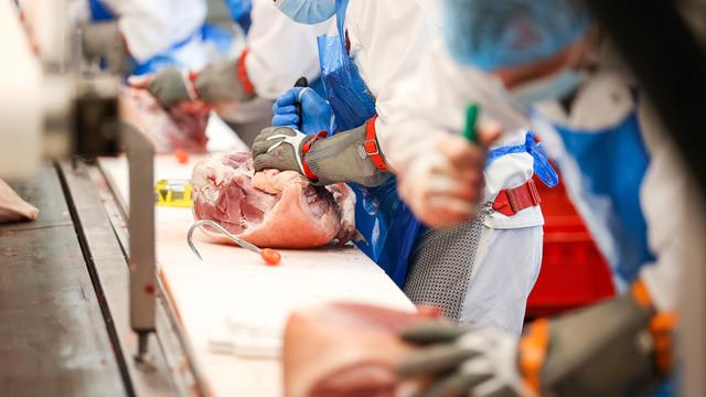 Bild: Fleischindustrie: Bundesverfassungsgericht bestätigt Werkvertragsverbot in Schlachthöfen