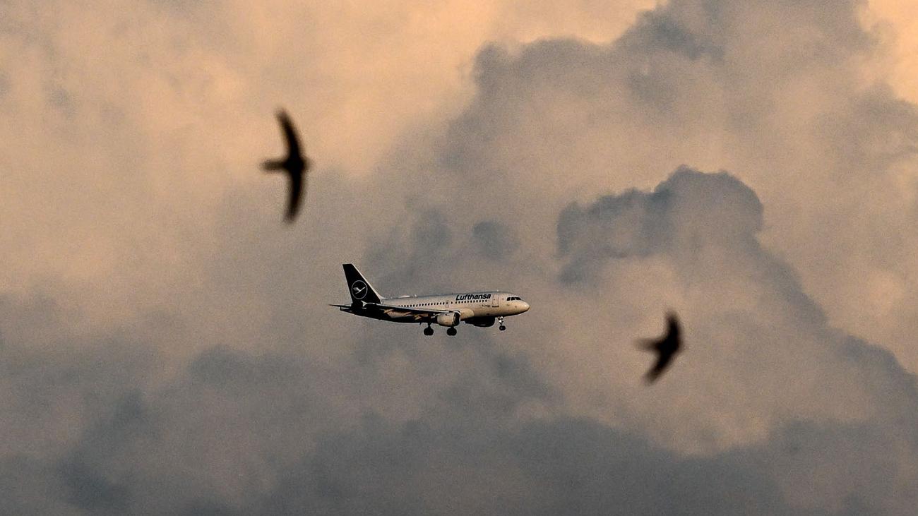 Treibstoffknappheit: Wird jetzt der Diesel knapp?