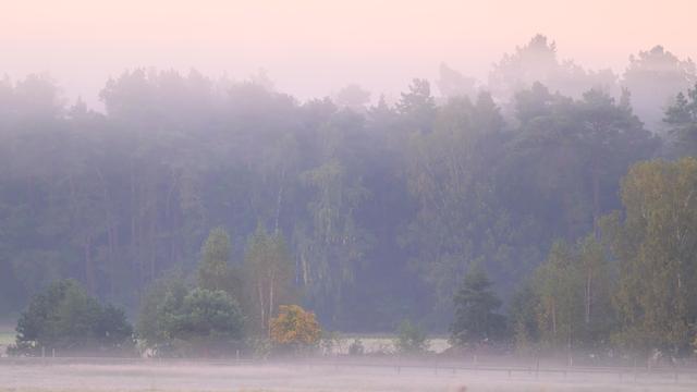 Biosphere Reserve Schorfheide-Chorin: Building Boom Meets White-Tailed Eagle